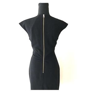 Ted Baker Dress with Gold Zipper Detail in Back